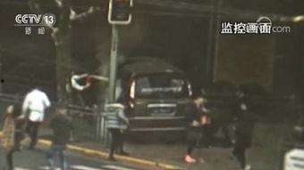 天涯爆料偷渡事件视频大全,天涯爆料偷渡事件视频大全深度解析