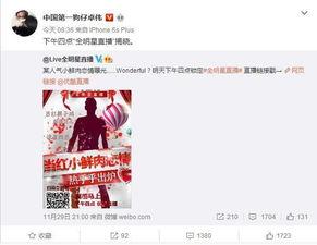 卓伟最新爆料公布,揭秘娱乐圈惊天秘密