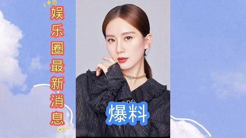 娱乐圈最新爆料2017,揭秘年度爆笑、泪点事件